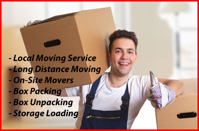 Packers And Movers Noida Sector 118